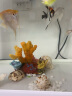 异景园 仿真珊瑚礁石鱼缸造景假山贝壳假珊瑚鱼缸装饰水族箱海水缸摆件 粉色小号珊瑚 实拍图