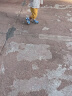 巴布豆（BOBDOG）男童凉鞋夏季新款包头儿童凉鞋中大童软底宝宝沙滩鞋子 月光蓝/蔚蓝-22075 24码内长15.1cm 实拍图