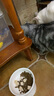宠幸【大桶装】宠幸猫零食猫冻干桶猫咪狗狗零食幼猫成猫粮伴侣鸡胸肉 【3桶】鸡肉粒冻干桶500g*3 实拍图