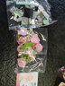 儿童拼装花束仿真积木花朵盆栽diy拼装颗粒摆件玩具兼容生日礼物 粉芙蓉 实拍图