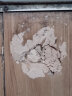 九月六号木质修补膏腻子膏木头地板家具坑洼孔洞钉眼修补缝隙木器填充坑洞划痕修复腻子膏 木器腻子(红榉) 实拍图