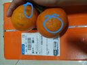 泰汇吃蜜桔 青皮蜜橘薄皮桔子孕妇水果新鲜整箱时令酸橘子 整箱5.5-6斤单果50-55MM净5 实拍图