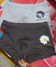 宝盖丁男士内裤男平角透气宽松平角裤小雏菊纯棉四角裤衩春夏男式内裤 【3条装】黑+咖啡+灰 XL 实拍图