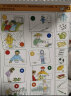 逻辑狗6岁以上男女孩儿童卡片早教机玩具幼儿园思维逻辑训练生日礼物 晒单实拍图
