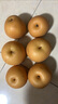闽域寻鲜山东莱阳秋月梨当季新品羊脂老树秋月梨整箱送礼水果秋月梨 净重4.5斤（普装 | 单果250g+） 【梨子爱好者首选】 实拍图