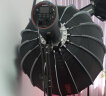 金贝（JINBEI） 补光灯EF220BI可调色温直播灯led摄影灯拍摄视频录像柔光常亮灯氛围轮廓 EF-220BI+90CM深口柔光箱【精准控光】 晒单实拍图