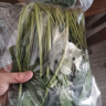 京百味 新鲜菠菜 600g 简装 新鲜蔬菜 实拍图