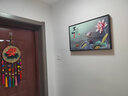 柳莺花燕免打孔电表箱装饰画现代简约客厅餐厅挂画电闸箱配电箱遮挡壁画 家和事兴 60X40遮挡50X30 液压款 实拍图