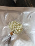 海科太空豆硅胶透明小号竿稍锁紧豆圆柱形橄榄型顶豆钓鱼用品配件 小小号硅胶太空豆（1捆300粒） 实拍图
