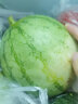 国产特小凤西瓜 1粒装 单果1.5kg以上 新鲜水果 实拍图