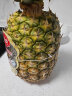 佳农 黑钻菠萝1粒装 巨无霸大果 凤梨 果重1.8kg起 生鲜水果 源头直发 实拍图