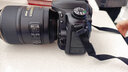 尼康（Nikon） D7500进阶款家用旅游高清数码单反相机 D7500 单机（胜任多种光线环境） 实拍图