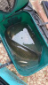 米极江湖新品电子漂电池套装通用夜光漂cr316电池鱼漂针管式浮漂电池原装 cr316(10粒装) 晒单实拍图