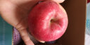 洛川苹果陕西延安红富士时令苹果水果礼盒糖心苹果生鲜脆甜整箱好吃新鲜 10斤铂金大果260g+（净重8.5斤） 实拍图