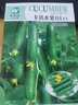 一播大地 水果黄瓜 黄瓜菜籽翠绿黄瓜四季种植蔬菜种子阳台种菜 盆栽 易种 卡其荷兰水果黄瓜种子原装50粒 实拍图