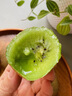 捌零鲜生物语陕西周至徐香猕猴桃绿心奇异果水果非翠香亚特中秋礼盒送礼选真的 30枚优选中果 【贵一点点但送礼选真的徐香】单果60-80g 实拍图