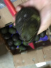 牛油果先生牛油果先生（轻食）秘鲁应季当季水果原装整箱进口牛油果（熟果） 巨无霸24个装（单果重190g+） 熟果 实拍图
