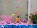 森森（SUNSUN）鱼缸过滤材料细菌屋玻璃环生化球麦饭石水族滤材过滤用品 大号纳米细菌屋10根【贈水质安定剂胶囊】 实拍图