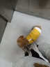 宠它星球狗狗衣服秋冬款猫咪泰迪小狗比熊冬季牵引幼犬棉衣秋季马甲西高地 桔色-菱形纹可牵引棉衣 XL【推荐9-12斤】可牵引设计 实拍图