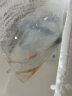 毛如意锦鲤鱼活鱼冷水淡水鱼苗观赏鱼金鱼小型好养耐活红鲤鱼纯种小 6-8CM黑白黄各一条 实拍图