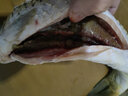 品鲜肴 淡水鱼生态大小鲤鱼 渔民野外捕获鲜活鱼现杀整条鲤鱼 海鲜水产 净膛后400g/条【1斤现杀】 实拍图