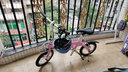 大行（DAHON）大行折叠自行车14寸超轻男女款轻巧便携成人城市自行车BYA412 粉色 实拍图