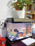 创海鱼缸玻璃长方形客厅家用小型桌面生态金鱼缸中型懒人免换水水族箱 60*30*47cm 单缸 大礼包 实拍图