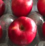 京鲜生 新西兰POSY小花苹果 中大果 4粒尝鲜装 单果重约160g+生鲜苹果 实拍图