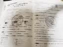 2026秋季北京真题圈北京专版六年级上册下册语文数学英语部编版统编版人教版北师大版北师版北京课改版 小学真题卷六年级复习单元期中专项期末考试卷测试卷 六年语文上册数学人教版+英语上册北京版   共3本 实拍图