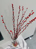 雪柳干枝水插花水培鲜花室内遇水开花客厅阳台观花绿植雪柳花鲜枝水养年宵花卉植物 银柳红色10支80厘米高 含瓶【见详情首张图】 实拍图