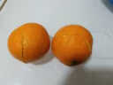 寒影决四川爱媛38号果冻橙 新鲜柑橘子 水果礼盒 5斤铂金果(75-80mm)精美礼盒 实拍图