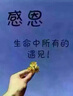 吨吨 BOTTLED JOY吨吨桶大容量运动水壶耐高温吨吨杯大肚杯王一博水杯 白驹骑士【Tritan501】 2.5L 实拍图