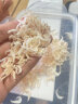 海洋谷虾皮 宁波特产虾米海产干货 虾皮250g 实拍图