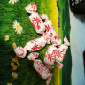 春光食品 海南特产 传统特浓椰子糖120g 水果糖硬糖果喜糖 实拍图