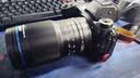 老蛙（LAOWA）90mm f2.8微距镜头两倍放大倍率APO复消色差适用微单相机 昆虫花卉 黑色 尼康微单Z卡口 实拍图