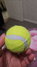 狗狗玩具球自嗨解闷神器宠物边牧金毛柯基耐咬球训练磨牙网球橡胶 绿色1个 全适用 实拍图