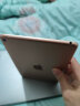 苹果Apple ipad二手平板电脑 iPad mini6 mini5 学生游戏迷你平板电脑 瑕疵品单拍不发mini 1代 16Gwifi 实拍图