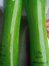 姬存希黄瓜胶 控油保湿滋润黄瓜凝胶250ml 【黄瓜胶2瓶】 实拍图
