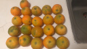 精选 脐橙 鲜甜橙子 钻石果5kg礼盒装 单果200-400g 新鲜水果 实拍图