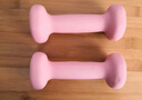 斯诺德（SiNuoDe） 斯诺德彩色浸塑哑铃男士女士家用家庭健身器材肌肉手臂塑形轻 骨头哑铃10LB(约4.5kg)*2 实拍图