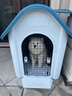 华元宠具（hoopet）狗窝狗房子狗屋室外小型大型犬室内别墅户外狗笼狗窝四季通用夏季 超大号-带天窗带门【90斤】 实拍图