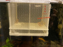 派乐特 鱼缸孵化盒孔雀鱼繁殖盒斗鱼亚克力隔离盒 双层网格孵化盒小 实拍图
