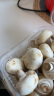 绿食者 新鲜口蘑约500g 食用菌菇 小白菇 口菇 双孢菇 晒单实拍图