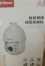 大华dahua监控摄像头400万高清网络高速球机 智能全彩球机 高清监控旋转球机 H.265编码 DH-SD6C84FX-GN-A 实拍图