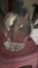浩迪（HD）水杯子大容量运动水壶吨顿桶网红运动健身男女学生便携塑料太空壶 亚光活力灰-耐高温 2.7升【食品级PC】 实拍图