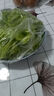 银枪（Yinqiang）【1000只】一次性保鲜膜套食品级剩菜剩饭保鲜碗罩松紧口保鲜膜罩 大小通用1000只装 加厚款 实拍图