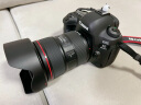 佳能（Canon）EF 24-70MM F2.8L II USM 滤镜防护套装 实拍图