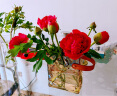 京东鲜花 轻奢手提包玻璃花瓶简约创意高级感水养鲜花玫瑰摆件客厅 实拍图