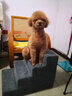 逸康 狗楼梯宠物爬梯台阶上床上沙发 宠物玩具猫犬训练楼梯宠物狗狗海绵台阶小型犬上床爬床梯子床边小狗猫 灰色三层【30cm高】 如图 实拍图