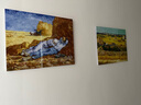 梵高丰收油画世界名画客厅沙发背景墙装饰画大气餐厅壁画三联挂画 红色葡萄园 50*40CM水晶膜单联画 实拍图